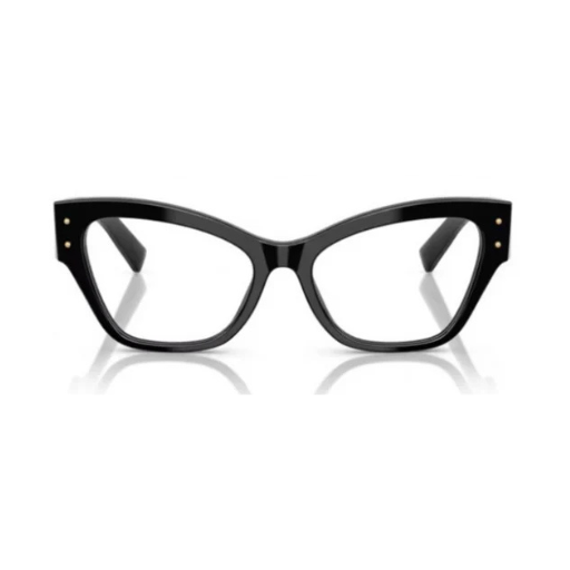 Dolce&Gabbana DG3404