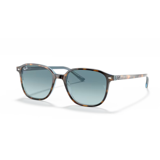 Ray-Ban RB2193