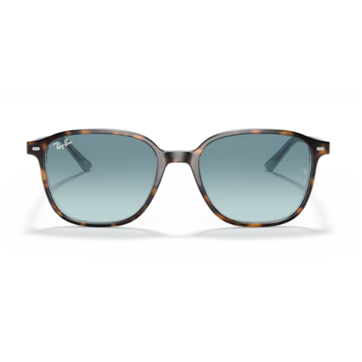 Ray-Ban RB2193